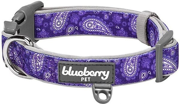 Blueberry Pet Paisley Print Polyester Dog Collar, Violet, Small: 12 to 16-in neck, 5/8-in wide slide 1 of 7