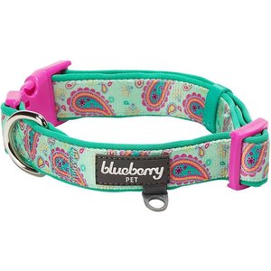 Blueberry Pet Paisley Print Polyester Dog Collar, Emerald Green, Small: 12 to 16-in neck, 5/8-in wide