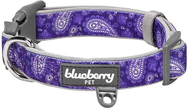 Blueberry Pet Paisley Print Polyester Dog Collar, Violet, Large: 18 to 26-in neck, 1-in wide slide 1 of 7