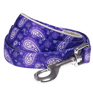Blueberry Pet Paisley Print Polyester Dog Leash, Violet, Medium: 5-ft long, 3/4-in wide
