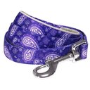 Blueberry Pet Paisley Print Polyester Dog Leash, Violet, Medium: 5-ft long, 3/4-in wide