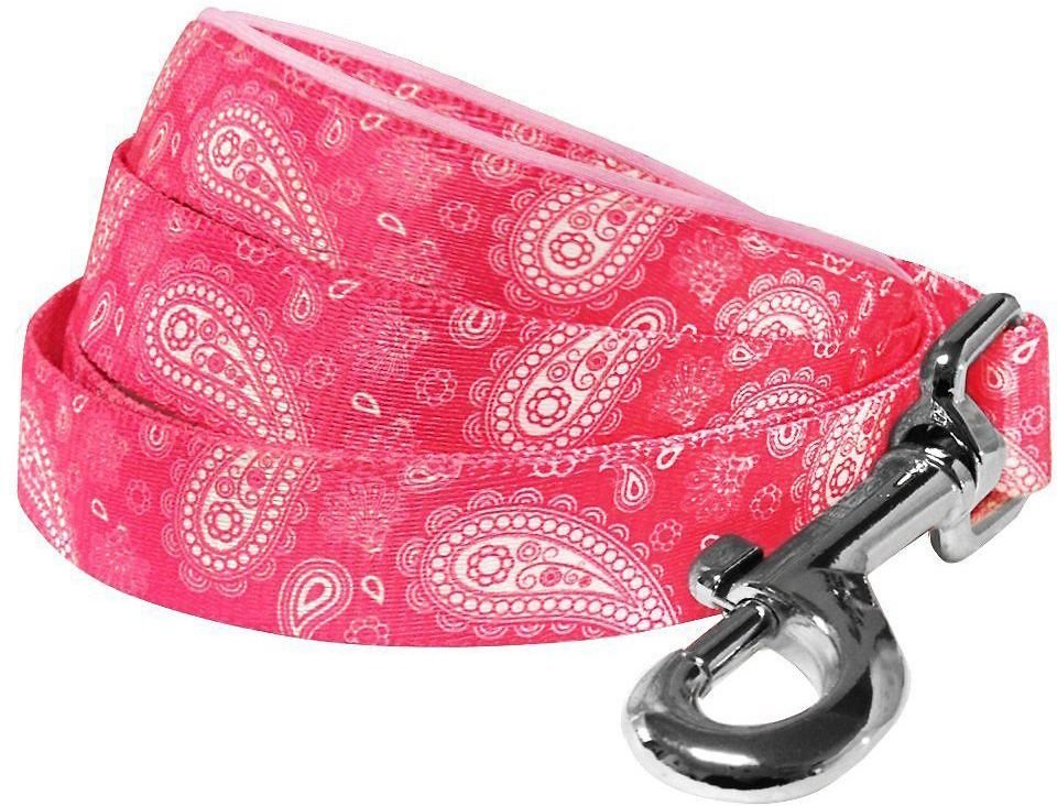 Blueberry Pet Paisley Print Polyester Dog Leash