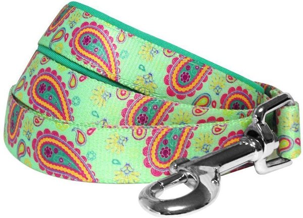 Blueberry Pet Paisley Print Polyester Dog Leash, Emerald Green, Medium: 5-ft long, 3/4-in wide slide 1 of 6