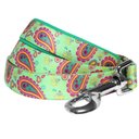 Blueberry Pet Paisley Print Polyester Dog Leash, Emerald Green, Medium: 5-ft long, 3/4-in wide