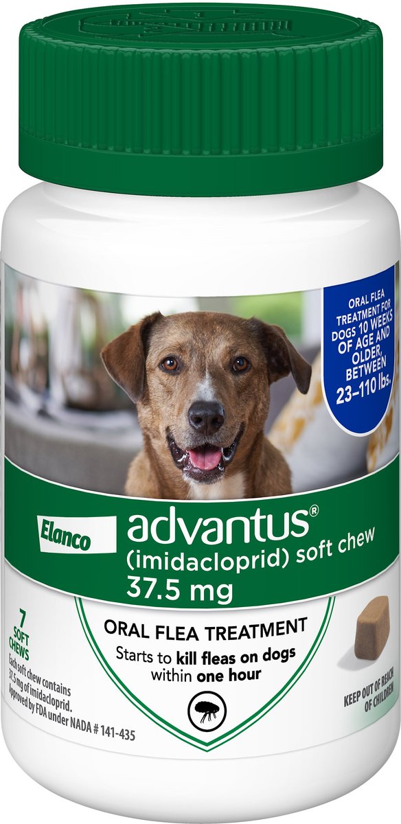 Advantus small dog soft chew store flea treatment