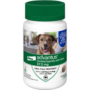 Bravecto Flea and Tick Chew for Dogs 22-44 lbs (10-20 kg) - Green 3 Chews