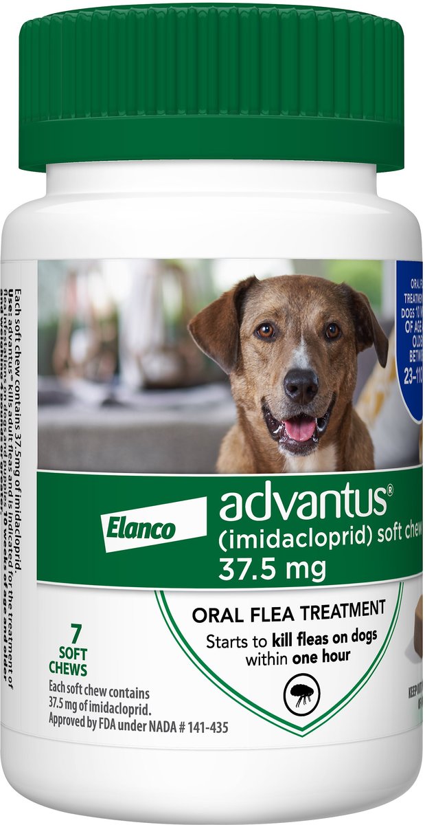 Prescription flea treatment for dogs sale