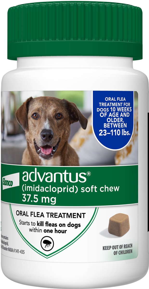 Bayer advantus soft outlet chews