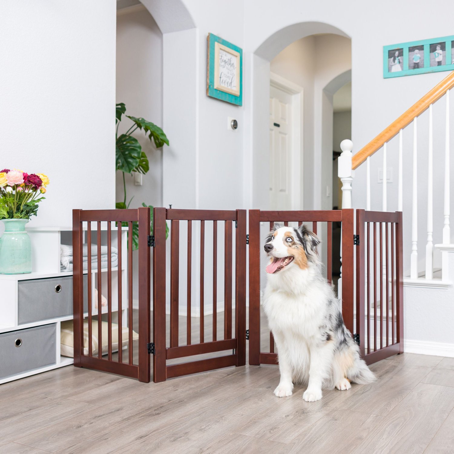 Configurable Gate PRIMETIME PETZ 360 Configurable Gate with Door, 30-in, Walnut - Chewy.com