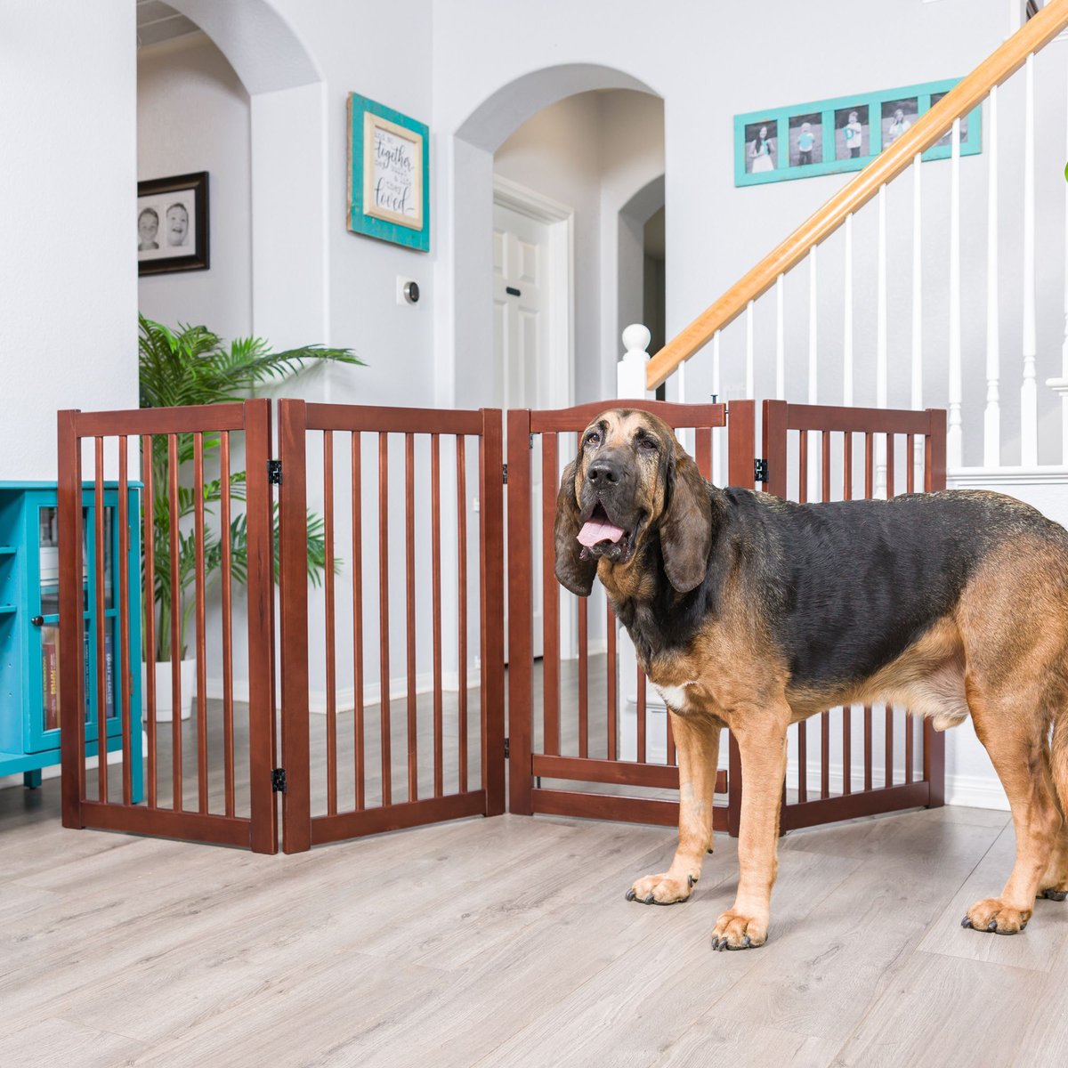 65 inch dog store gate