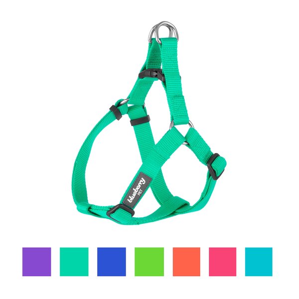 Blueberry Pet Classic Solid Nylon Step In Back Clip Dog Harness, Emerald, Medium: 20 to 26-in chest slide 1 of 8
