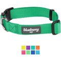 Blueberry Pet Classic Solid Nylon Dog Collar, Emerald, Medium: 14.5 to 20-in neck, 3/4-in wide