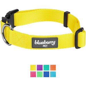Blueberry Pet Classic Solid Nylon Dog Collar, Blazing Yellow, Medium: 14.5 to 20-in neck, 3/4-in wide