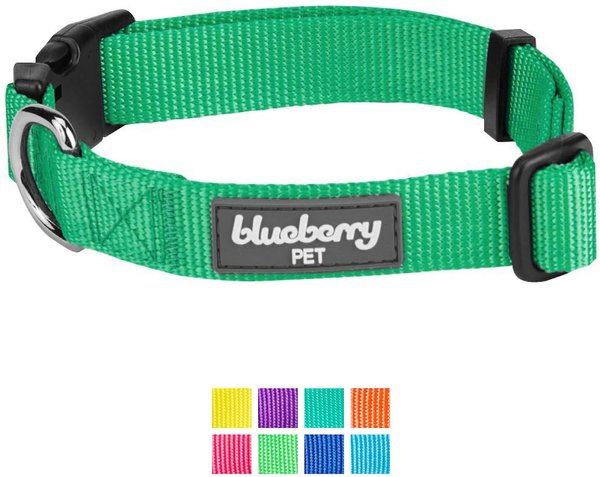 Blueberry Pet Classic Solid Nylon Dog Collar, Emerald, Large: 18 to 26-in neck, 1-in wide slide 1 of 6