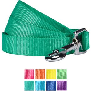 Blueberry Pet Classic Solid Nylon Dog Leash, Emerald, X-Small: 5-ft long, 3/8-in wide
