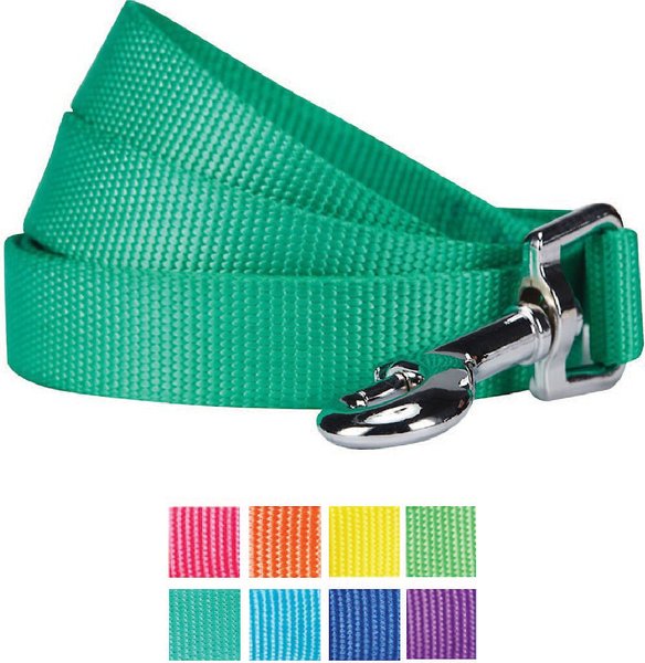 Blueberry Pet Classic Solid Nylon Dog Leash, Emerald, Small: 5-ft long, 5/8-in wide slide 1 of 6
