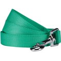 Blueberry Pet Classic Solid Nylon Dog Leash, Emerald, Medium: 5-ft long, 3/4-in wide