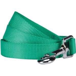 Blueberry Pet Classic Solid Nylon Dog Leash, Emerald, Medium: 5-ft long, 3/4-in wide