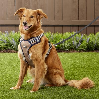 Show full view: Blueberry Pet 3M Multi-Colored Stripe Mesh Reflective Back Clip Dog Harness, Olive & Blue-Gray, Large: 28.5 to 38.5-in chest slide 6 of 12