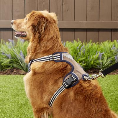 Show full view: Blueberry Pet 3M Multi-Colored Stripe Mesh Reflective Back Clip Dog Harness, Olive & Blue-Gray, Large: 28.5 to 38.5-in chest slide 7 of 12