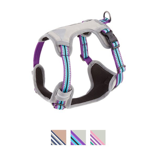 Blueberry Pet 3M Multi-Colored Stripe Mesh Reflective Back Clip Dog Harness, Violet & Celeste, Small: 17.5 to 21-in chest slide 1 of 10