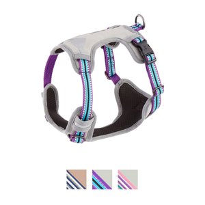 Blueberry Pet 3M Multi-Colored Stripe Mesh Reflective Back Clip Dog Harness, Violet & Celeste, Small: 17.5 to 21-in chest