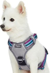 Blueberry Pet 3M Multi-Colored Stripe Mesh Reflective Back Clip Dog Harness, Violet & Celeste, Large: 28.5 to 38.5-in chest