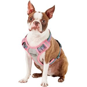 Blueberry Pet 3M Multi-Colored Stripe Mesh Reflective Back Clip Dog Harness, Emerald & Orchid, Small: 17.5 to 21-in chest