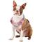 Show in main carousel: Blueberry Pet 3M Multi-Colored Stripe Mesh Reflective Back Clip Dog Harness, Emerald & Orchid, Small: 17.5 to 21-in chest slide 3 of 11