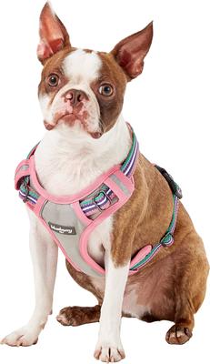 Show full view: Blueberry Pet 3M Multi-Colored Stripe Mesh Reflective Back Clip Dog Harness, Emerald & Orchid, Small: 17.5 to 21-in chest slide 3 of 11