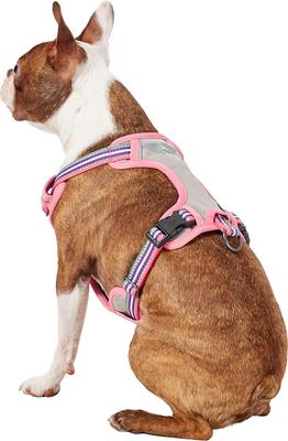Show full view: Blueberry Pet 3M Multi-Colored Stripe Mesh Reflective Back Clip Dog Harness, Emerald & Orchid, Small: 17.5 to 21-in chest slide 4 of 11