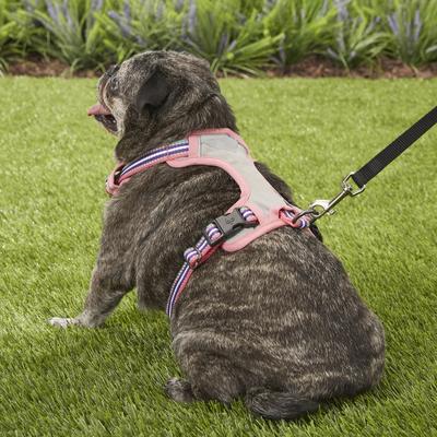Show full view: Blueberry Pet 3M Multi-Colored Stripe Mesh Reflective Back Clip Dog Harness, Emerald & Orchid, Small: 17.5 to 21-in chest slide 6 of 11