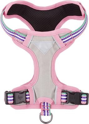 Show full view: Blueberry Pet 3M Multi-Colored Stripe Mesh Reflective Back Clip Dog Harness, Emerald & Orchid, Small: 17.5 to 21-in chest slide 7 of 11