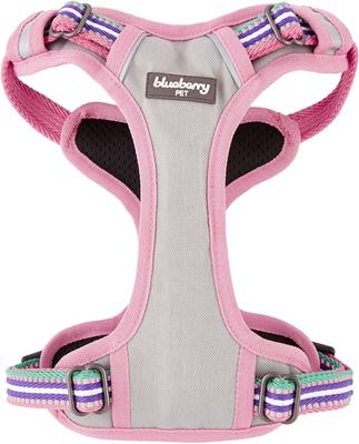Show full view: Blueberry Pet 3M Multi-Colored Stripe Mesh Reflective Back Clip Dog Harness, Emerald & Orchid, Small: 17.5 to 21-in chest slide 8 of 11