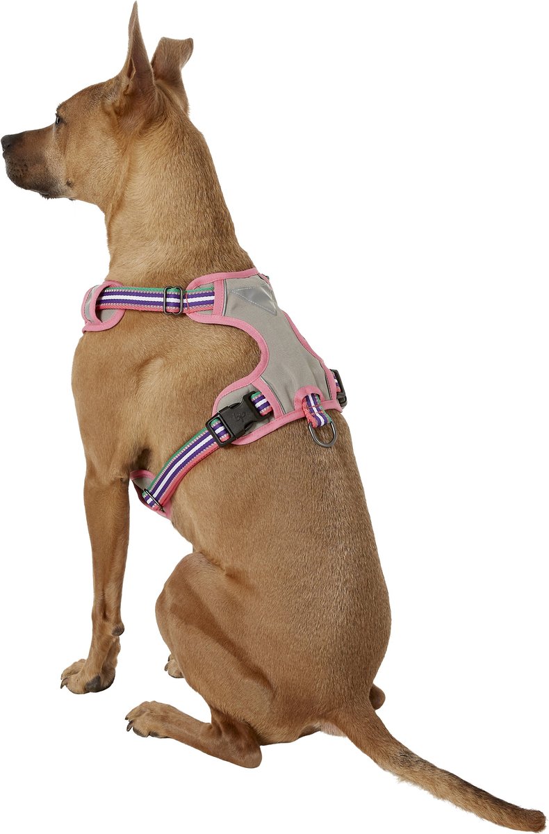 Blueberry pet mesh padded dog best sale harness vest