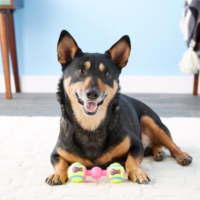 Show full view: GoDog Retrieval GoBone Dog Toy, Small slide 5 of 8