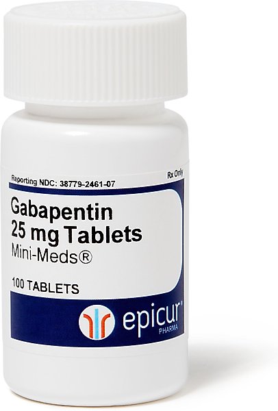 what is the highest milligrams of gabapentin