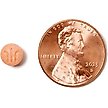 chewy gabapentin 600mg