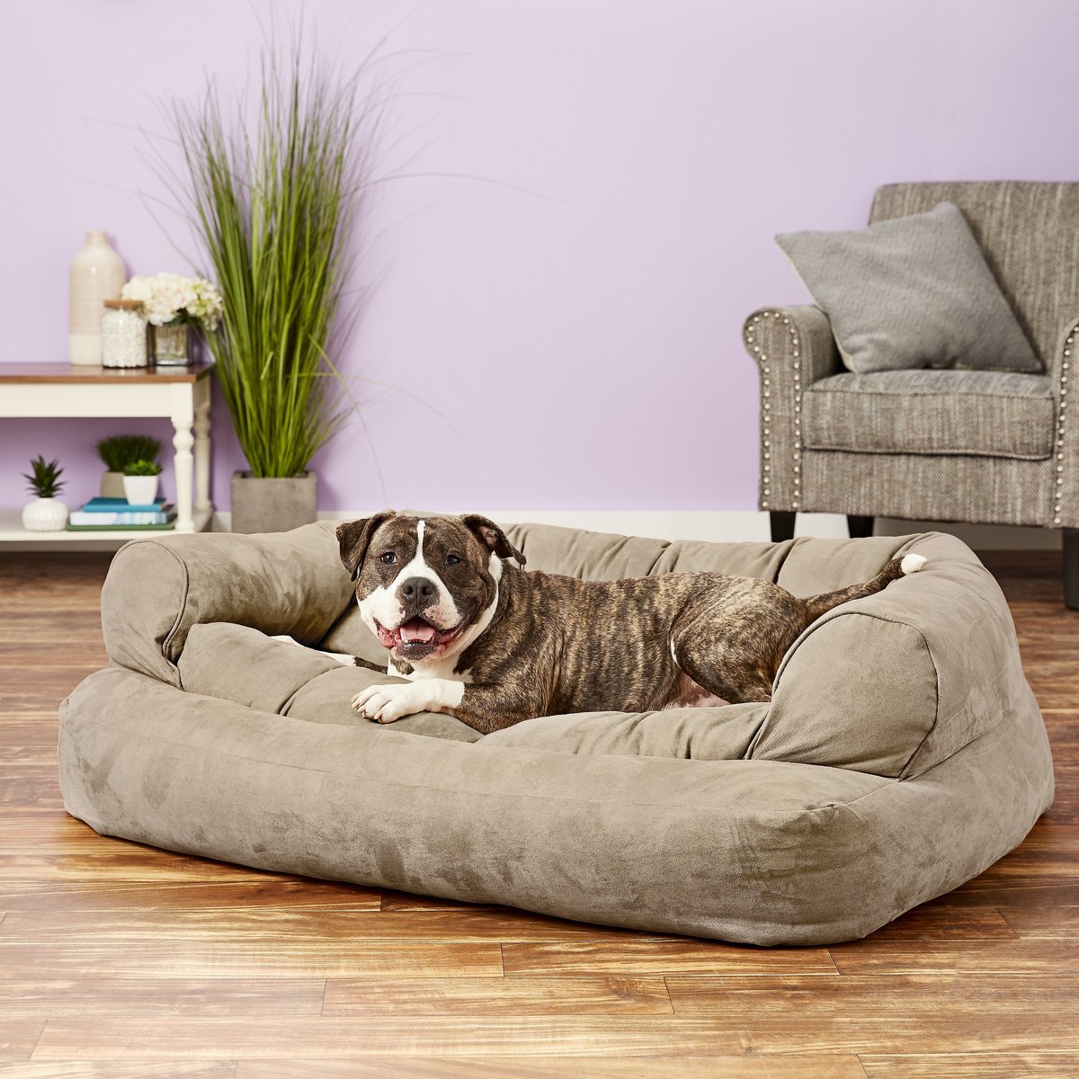 Large luxury cheap dog beds