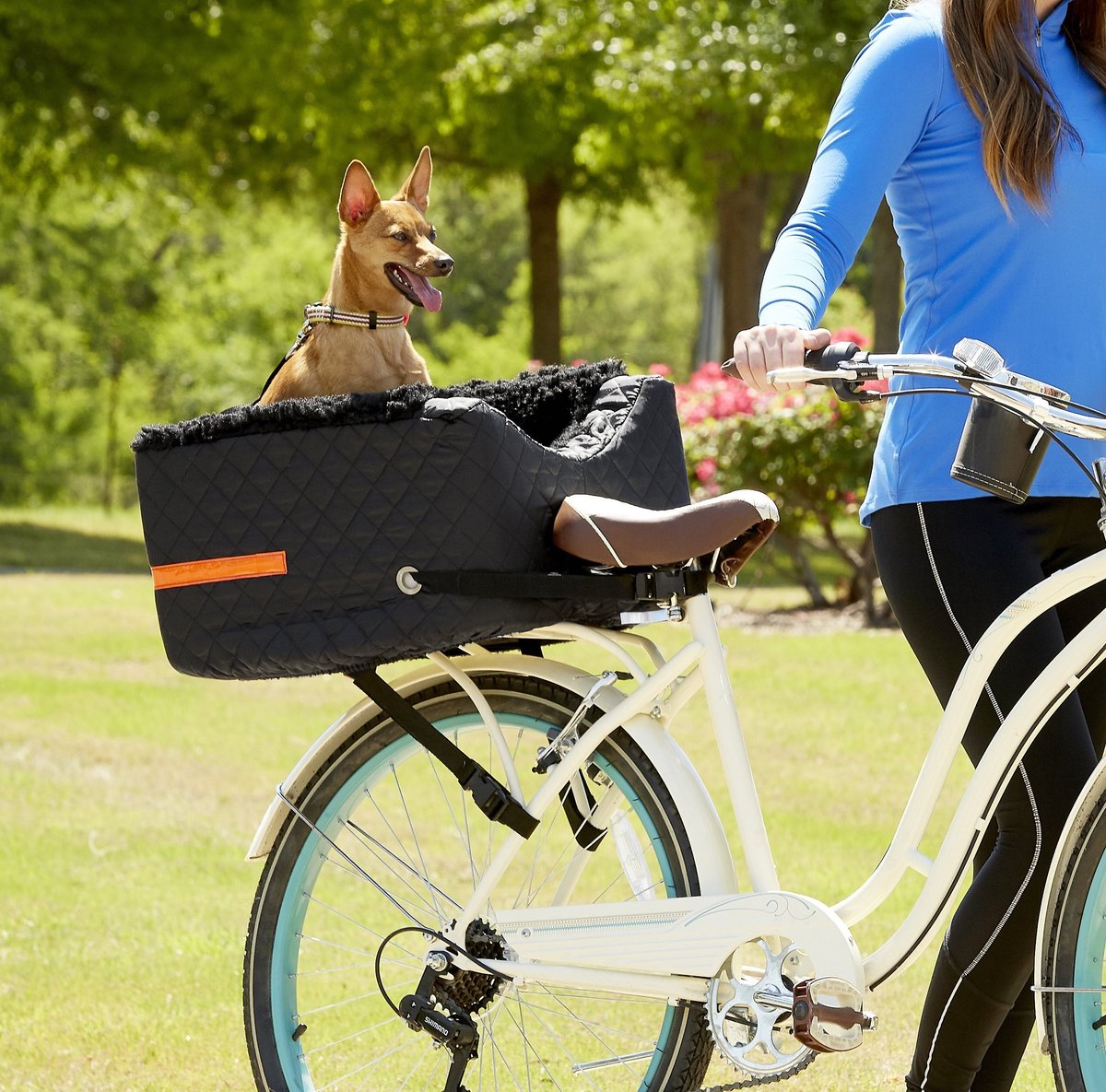 Rear mounted dog carrier cheap for bike