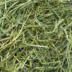 Rabbit Hole Hay Ultra Premium, Hand Packed Coarse Timothy Hay Small Animal Food, 5-lb box slide 2 of 4