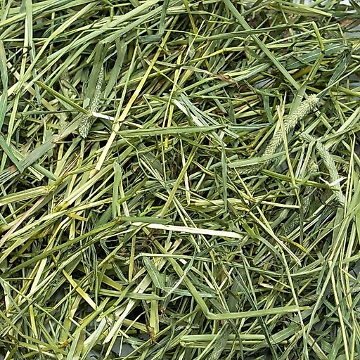 Rabbit Hole Hay Ultra Premium, Hand Packed Coarse Timothy Hay Small Animal Food, 20-lb box