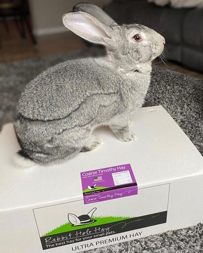 Rabbit Hole Hay Ultra Premium, Hand Packed Coarse Timothy Hay Small Animal Food, 20-lb box