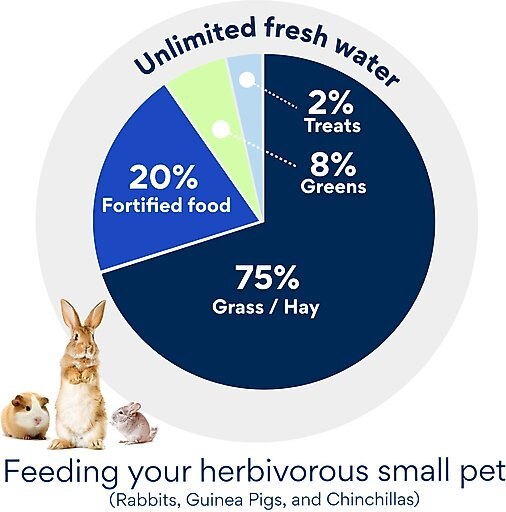 Rabbit Hole Hay Ultra Premium, Hand Packed Coarse Timothy Hay Small Animal Food, 20-lb box