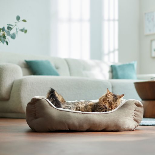 Frisco Rectangular Bolster Cat & Dog Bed, Khaki Green, Medium