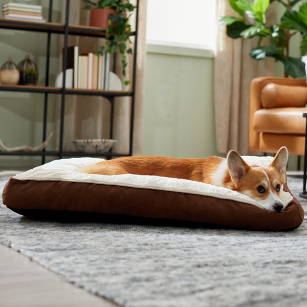 Frisco Pillow Cat & Dog Bed, Brown, Medium slide 1 of 6