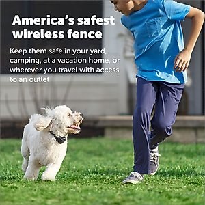 PetSafe Stay & Play Wireless Fence with Replaceable Battery Collar