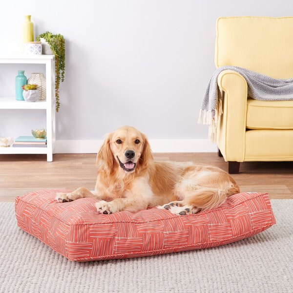 Alternative dog beds best sale