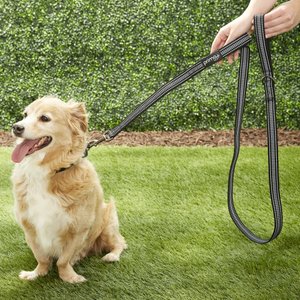 Brown Chewy V Pawtton Leash for Dogs and Cats
