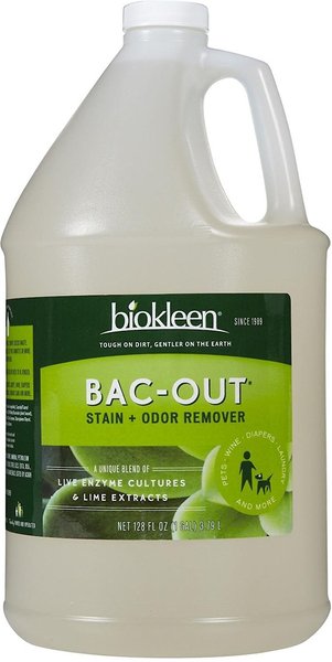 Biokleen Bac-Out Stain Remover for Carpet, Clothes - 32 Ounce and Gallon  Refill - Enzymatic, for Pet Stains, Laundry, Diapers, Wine, Carpets, &  More